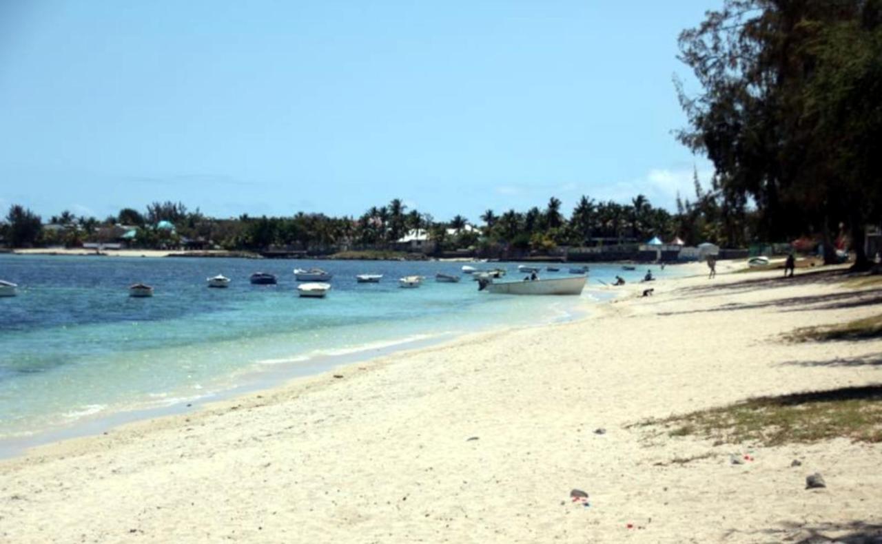 La Case Bois Creole Albion Buitenkant foto