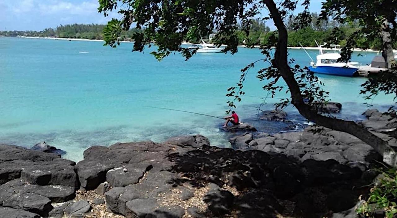 La Case Bois Creole Albion Buitenkant foto